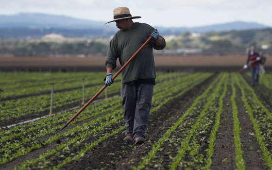 Migrant worker Cesar Lopez, 33, cleans the fields near Salinas, California, March 30, 2020. (CNS/Reuters/Shannon Stapleton)