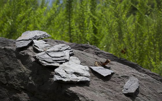 Rock near Kayford Mountain south of Charleston, West Virginia, as seen Aug. 19, 2014. The Catholic Committee of Appalachia, a membership-based organization, has served Appalachia, the poor and creation since 1970. (CNS/Tyler Orsburn)