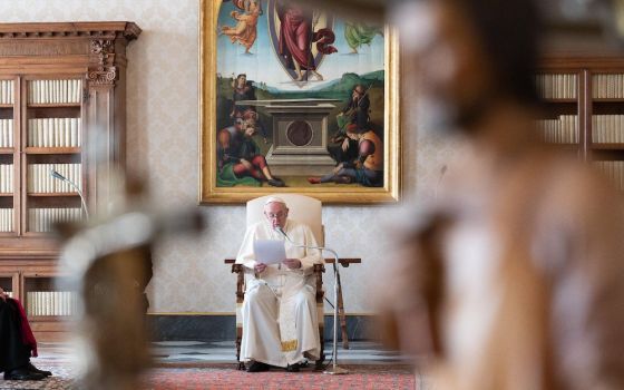 Pope Francis leads his general audience in the library of the Apostolic Palace at the Vatican Nov. 25. (CNS/Vatican Media)