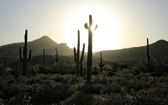 The sun sets behind a desert view in the Spur Cross Ranch Conservation Area in Cave Creek, Arizona. Jesus' desert sojourn began immediately after his baptism where he heard God proclaim, "You are my beloved Son; with you I am well pleased." (CNS/Nancy Wie