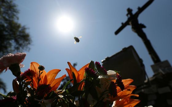 A bee hovers over flowers in front of a crucifix at a cemetery in Santiago, Chile, Feb. 18, 2021. (CNS/Reuters/Ivan Alvarado)