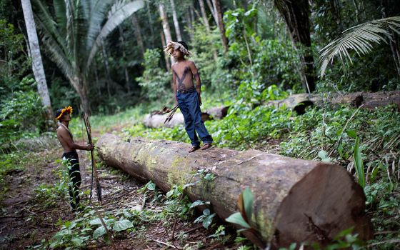 An Indigenous man and child of the Uru-eu-wau-wau tribe are pictured in a 2019 photo inspecting an area deforested by invaders on Indigenous land near Campo Novo de Rondônia, Brazil. (CNS/Reuters/Ueslei Marcelino)