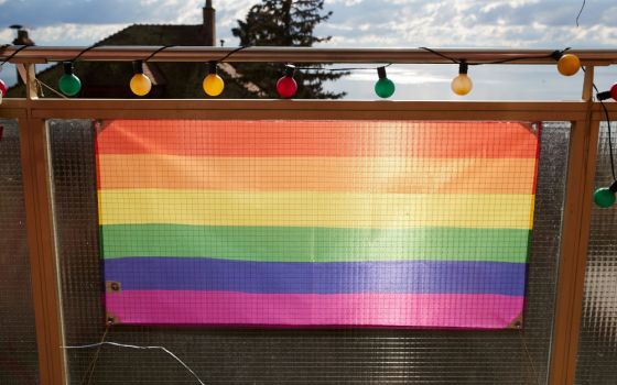 An LGBTQ flag is seen in this illustration photo. (CNS/Reuters/Denis Balibouse)