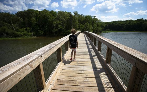A boy explores Mattawoman Creek at Smallwood State Park in Marbury, Maryland, May 23. (CNS/Tyler Orsburn)