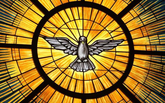 The Holy Spirit, traditionally depicted as a dove, is pictured in a stained-glass window at St. John Vianney Church in Lithia Springs, Georgia, in this May 4, 2015, file photo. (CNS/Georgia Bulletin/Michael Alexander)