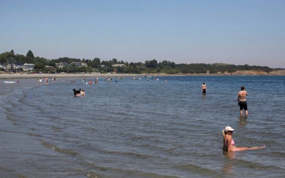 People look for ways to cool off at Willow's Beach during record-breaking temperatures in Victoria, British Columbia, June 28, 2021. (CNS photo/Chad Hipolito, Reuters)
