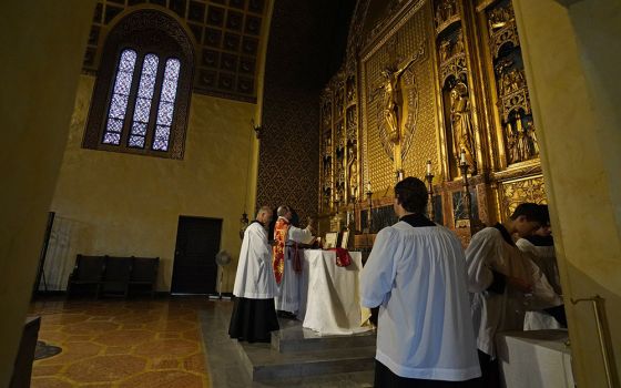 A traditional Latin Mass is celebrated July 1 at Immaculate Conception Seminary in Huntington, New York. (CNS/Gregory A. Shemitz)
