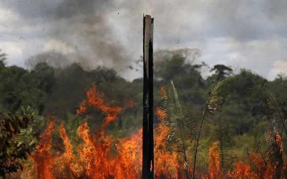 Smoke from a fire rises into the air as trees burn in the Brazilian Amazon rainforest Sept. 1 near Labrea, Brazil. (CNS/Reuters/Bruno Kelly)
