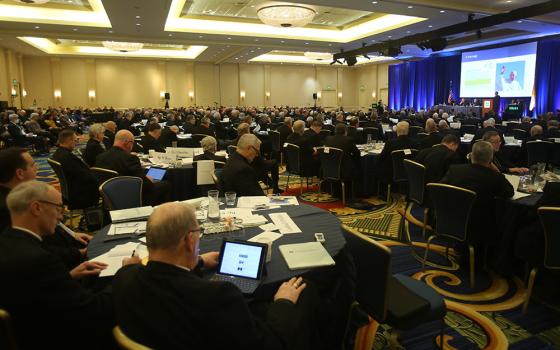 Bishops attend a Nov. 16 session of the fall general assembly of the U.S. Conference of Catholic Bishops in Baltimore. (CNS/Bob Roller)