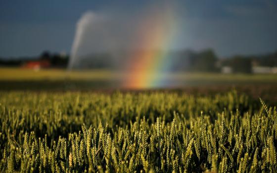 A rainbow is seen in late June as a wheat field is irrigated after authorities announced a drought risk for the summer in Sailly-lez-Cambrai, France. (CNS/Reuters/Pascal Rossignol)
