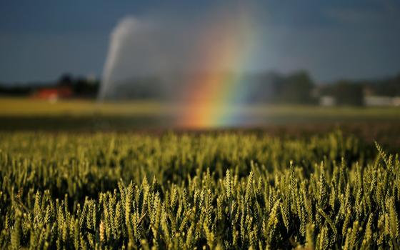 A rainbow is seen in late June as a wheat field is irrigated after authorities announced a drought risk for the summer in Sailly-lez-Cambrai, France. (CNS/Reuters/Pascal Rossignol)