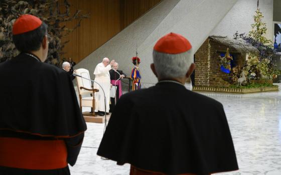 The backs of two cardinals are in the foreground of Pope Francis' general audience