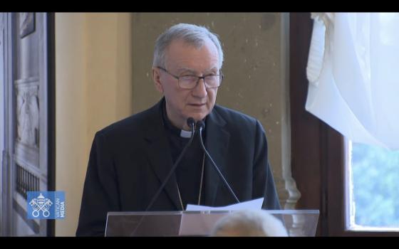 Cardinal Parolin speaks at a podium with papers 