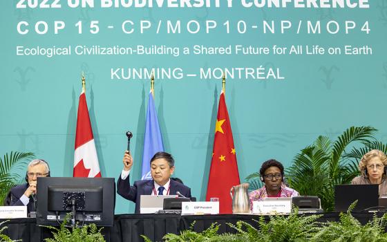COP15 president Huang Runqiu of China slams the gavel as nations formally adopt the Kunming-Montreal Global Biodiversity Framework at the COP15 United Nations biodiversity conference Dec. 19 in Montreal. (U.N. Convention on Biological Diversity)