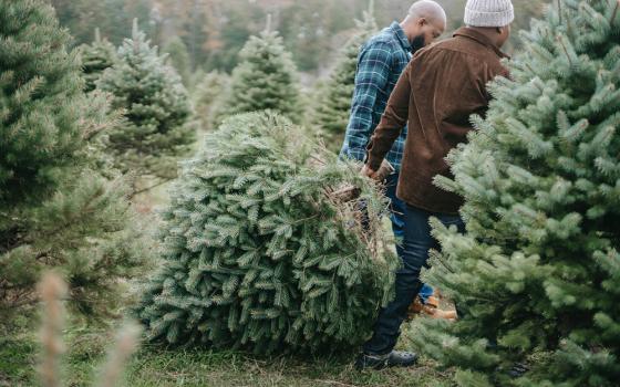 A father and son selecting a Christmas tree to take home (Pexels/Any Lane)