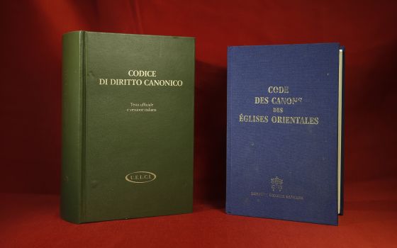 Code of Canon Law books for the Latin and Eastern Catholic churches are pictured in Rome at the Pontifical Oriental Institute in this Sept. 15, 2016. (CNS photo/Paul Haring)