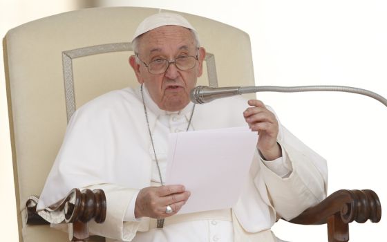 Pope Francis speaks during his general audience in St. Peter's Square at the Vatican June 22. (CNS/Paul Haring)