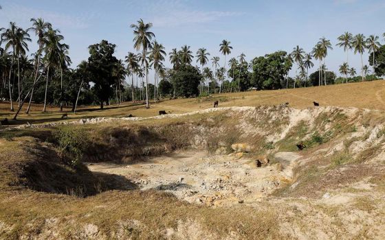 A dried-up water hole is seen in Kilifi, Kenya, on Feb. 16. (CNS/Reuters/Baz Ratner)