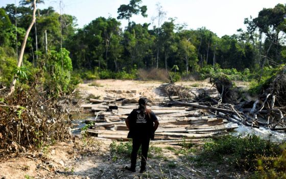 Pahnin Mekragnotire of the Kayapo tribe observes logs left by loggers during a surveillance patrol on the Menkragnoti Indigenous Land to defend the territory against attacks by loggers and miners, in Brazil's Para state. (CNS photo/Lucas Landau, Reuters)