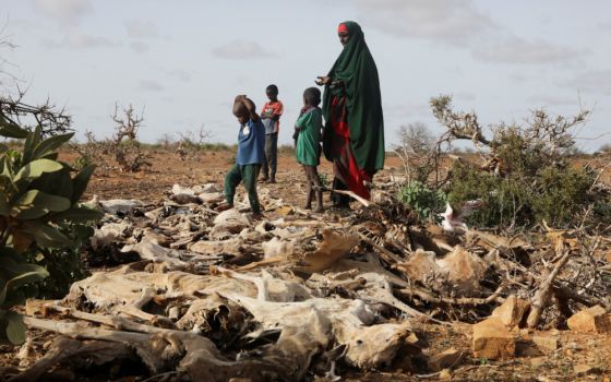 A Somali woman and her children stand near the carcasses of their dead livestock