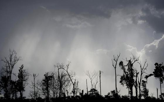 The remains of virgin Amazon rainforest are seen after it was cleared for its wood along a highway near a town in Moju, Brazil, May 26, 2012. (CNS/Reuters/Lunae Parracho) 