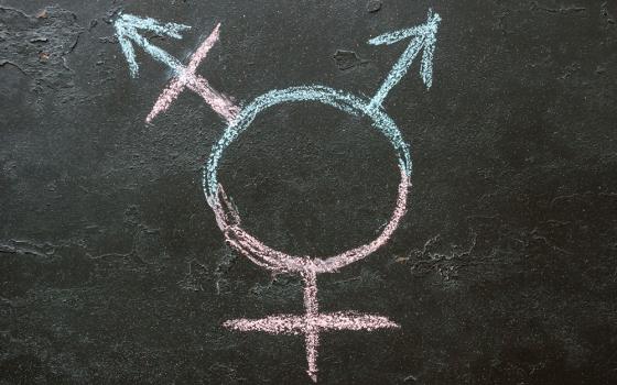 Transgender symbol in pink and blue chalk on a blackboard (Dreamstime/Alexander Alexeev)