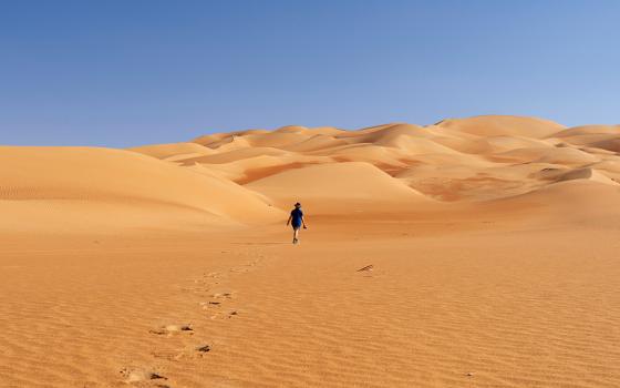 A person walking into the desert (Unsplash/Julius Yls)