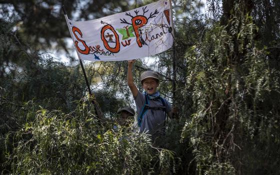 A young boy, sitting in a tree to get a view, joins about 1,000 other protesters to demand action on climate change, in a park Sept. 20, 2019, in downtown Nairobi, Kenya. The Diocese of Murang'a and Equity Bank have partnered to restore degraded forests in central Kenya. (AP photo/Ben Curtis)