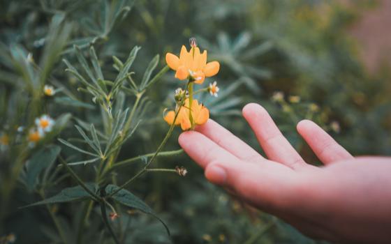 Hand touching wildflowers (Unsplash/Lisanto)