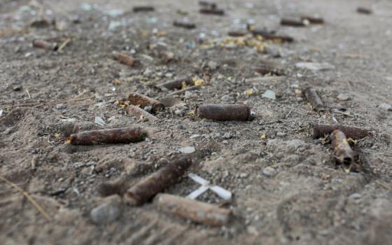 Rusted bullet casings lay in with sticks, other pieces of metal and faint tire tracks