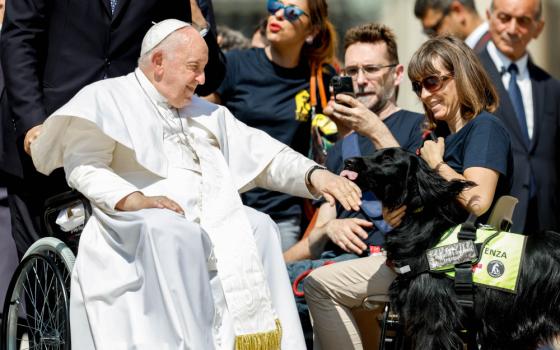 A black dog wearing a yellow harness and sign licks Pope Francis' hand. Francis rolls by a crowd in his wheelchair.