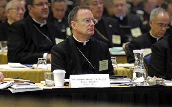 Roman Catholic Diocese of Oakland Bishop Michael Barber, center, listens to a presentation alongside fellow bishops at the United States Conference of Catholic Bishops' annual fall meeting in Baltimore, Nov. 12, 2013. On Monday, May 8, 2023, the Roman Catholic Diocese of Oakland filed for bankruptcy due to hundreds of new child sex abuse claims, becoming the second diocese in California to do so. The San Francisco Bay Area diocese faces more than 330 lawsuits brought under a California law allowing claims t