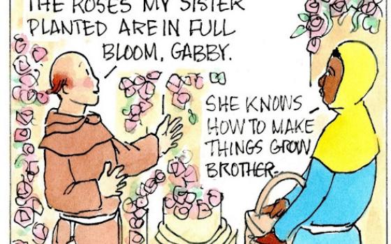 Francis, the comic strip: Brother Leo picks some roses for Francis