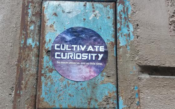 Cultivate curiosity (Unsplash/Marija Zaric)