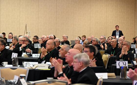 Bishops applaud during the U.S. Conference of Catholic Bishops meeting June 15 in Orlando, Florida. (RNS photo/Jack Jenkins)