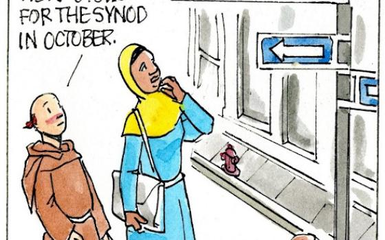 Francis, the comic strip: Gabby and Brother Leo try to interpret the newly installed signs for the synod.