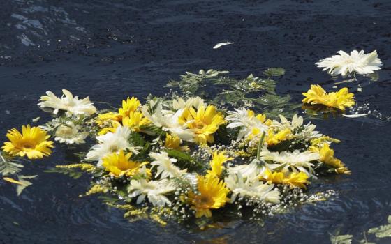 A mass of yellow and white flowers clumped together floats in dark-colored water