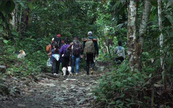 A group of people wear large backpacks and some wear ballcaps as they walk up a forest hill