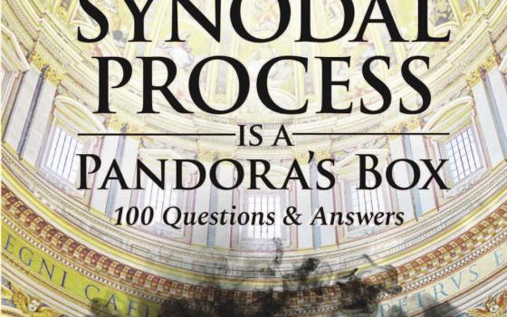 A book cover featuring black smoke and the words "The Synodal Process Is a Pandora's Box"