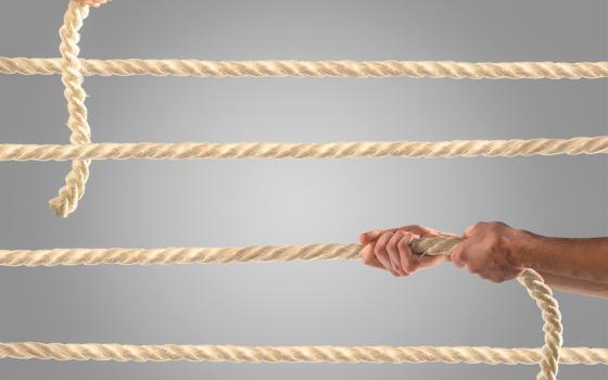 Tug of war (Dreamstime/Evitte83)
