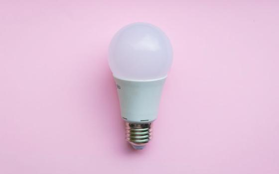 White light bulb on pink background (Unsplash/Michał Turkiewicz)