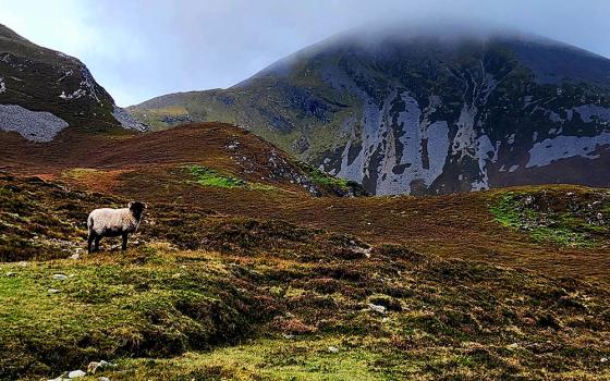 St. Patrick is said to have spent 40 days at the summit of Croagh Patrick in A.D. 441. Today, pilgrims still travel from around the world to climb the mountain. (Mark Piper)