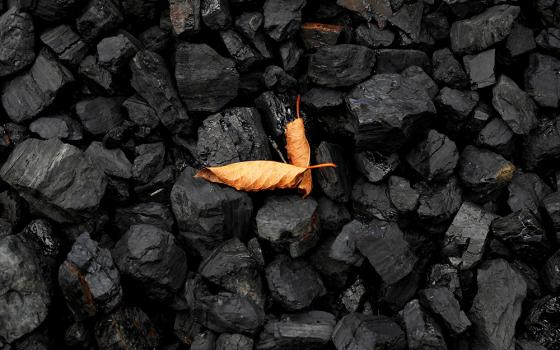 A leaf sits on top of a pile of coal in this illustration photo. (CNS/Reuters/Shannon Stapleton)