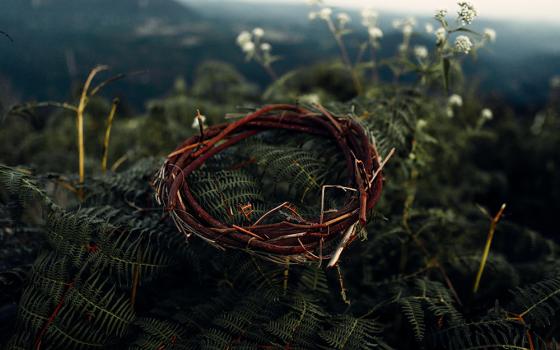 A crown of thorns (Unsplash/Samuel Lopes)