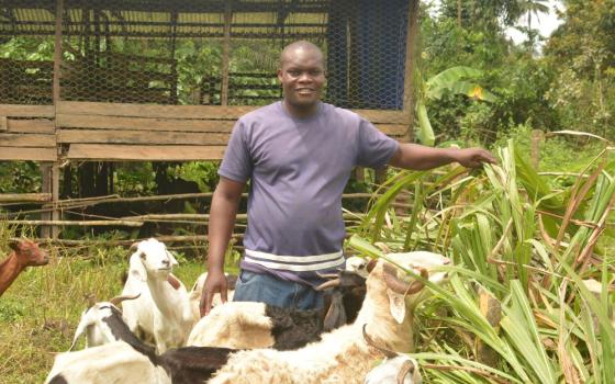 Fr. Zachariah Fufeyin tends to animals at Our Lady of the Waters farm in Bayelsa, Nigeria's oil-rich region. He raises pigs, rabbits, goats and sheep, with the primary goal of helping low-income women and families to increase their protein consumption. (Valentine Benjamin)