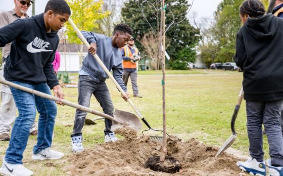 Students plant trees in the West Greenville neighborhood of Greenville, South Carolina, for Community Tree Day on Thursday, Nov. 10, 2022. (Photo courtesy of Flickr/RawPixel.com/Creative Commons)