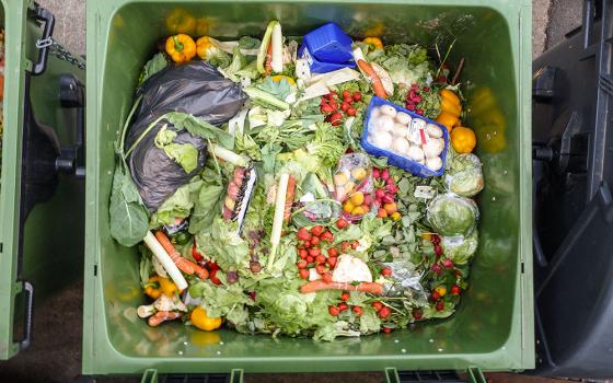 Discarded food is seen in a trash bin outside a store. "Forty percent of all food grown around the world for human consumption is wasted," Sally Geislar, assistant professor of environmental studies at St. Mary's College in Notre Dame, Indiana, said during an April 9 panel on food waste. (Wikimedia Commons/Foerster)