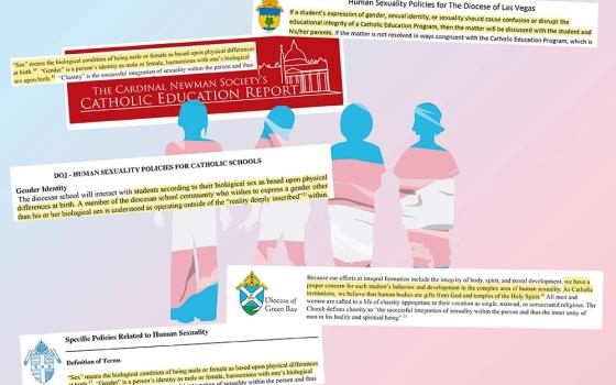 Collage of sections of text from websites 
