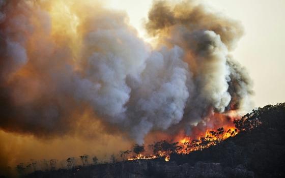 Conflagration rages up hillside. 