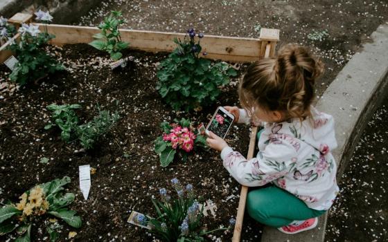 little girl kneels to take photo of flower growing in raised garden bed